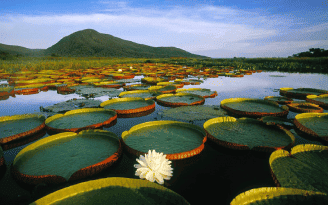 Reserva Pantanal